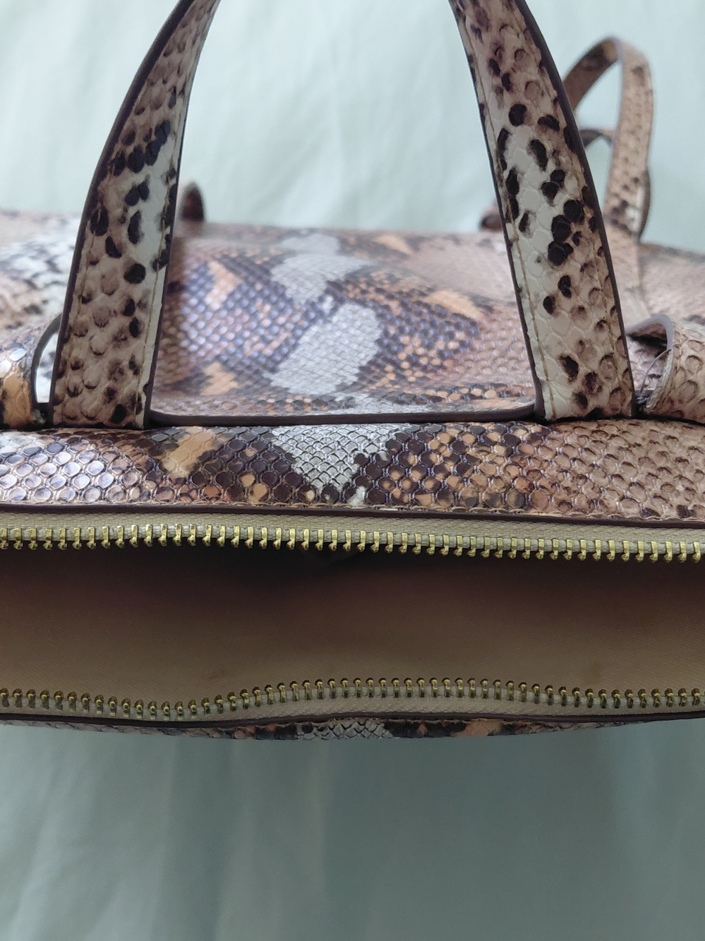Snake-Print Backpack - Picture 4 of 11